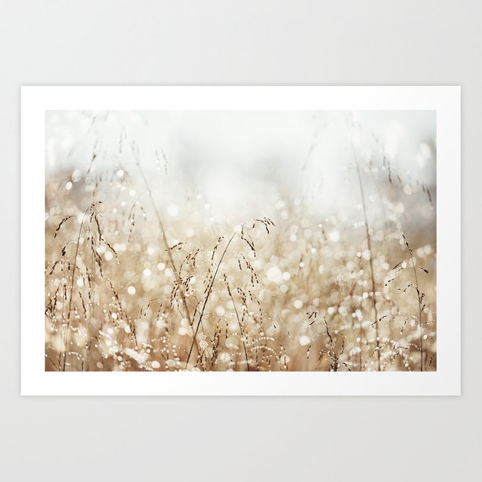 dewdrop nature photography neutral dew drop gold white brown beige cream water drops prints