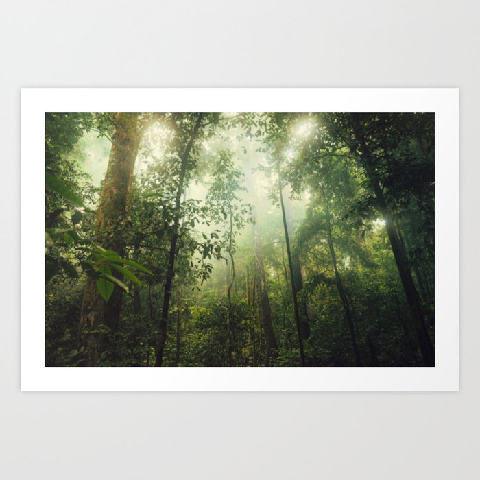 penetration 7zd prints