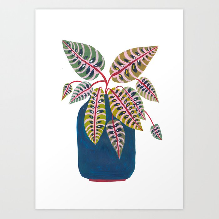 potted prayer plant prints