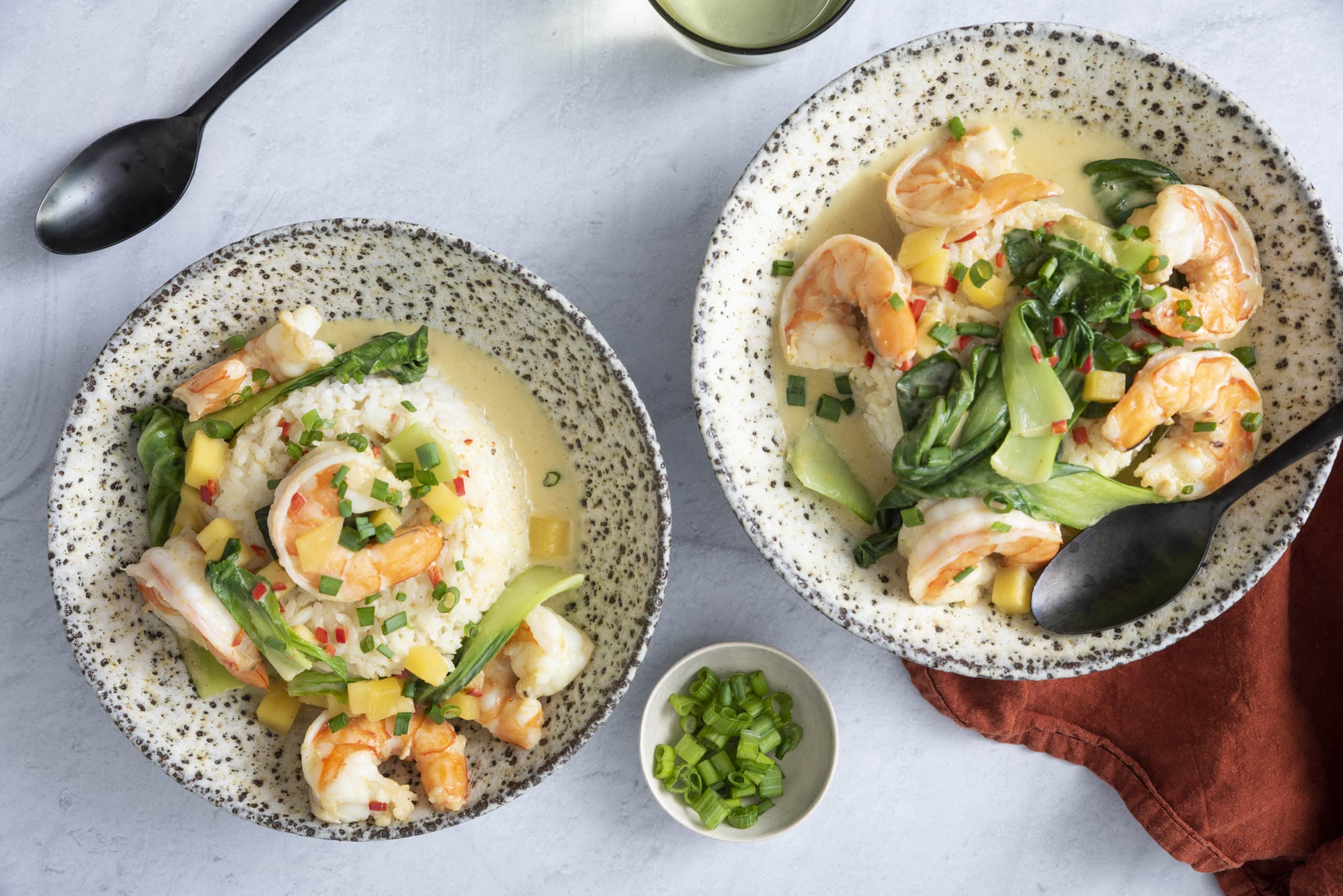 COCONUT CURRY SHRIMP RECIPE BOBBY BERK00001 scaled