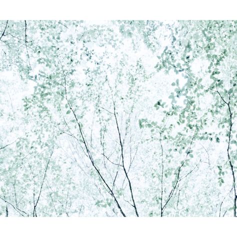 54f372a0cdd0a3634dc6e344b80c8f2f