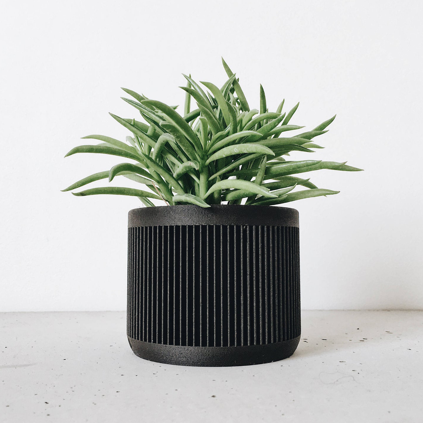 Bobby Berk Planters Natural 10