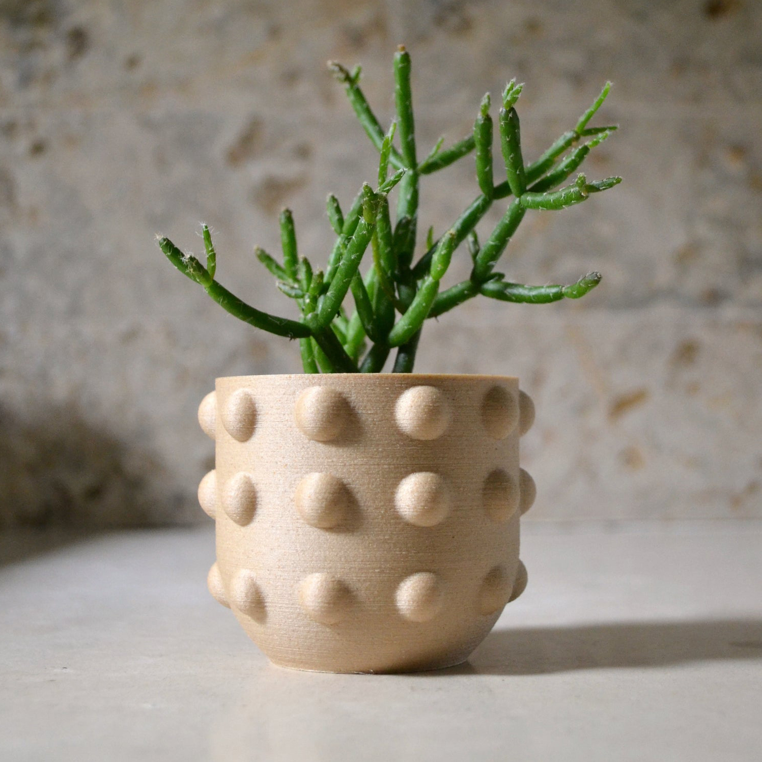 Bobby Berk Planters Natural 3
