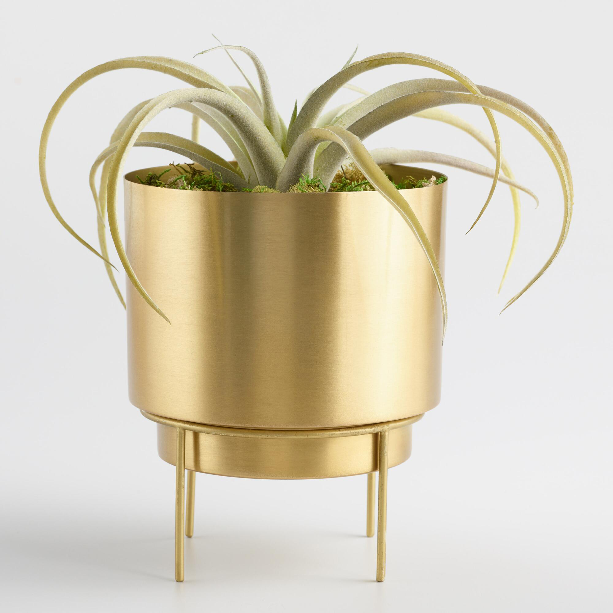 Bobby Berk Planters Natural 8